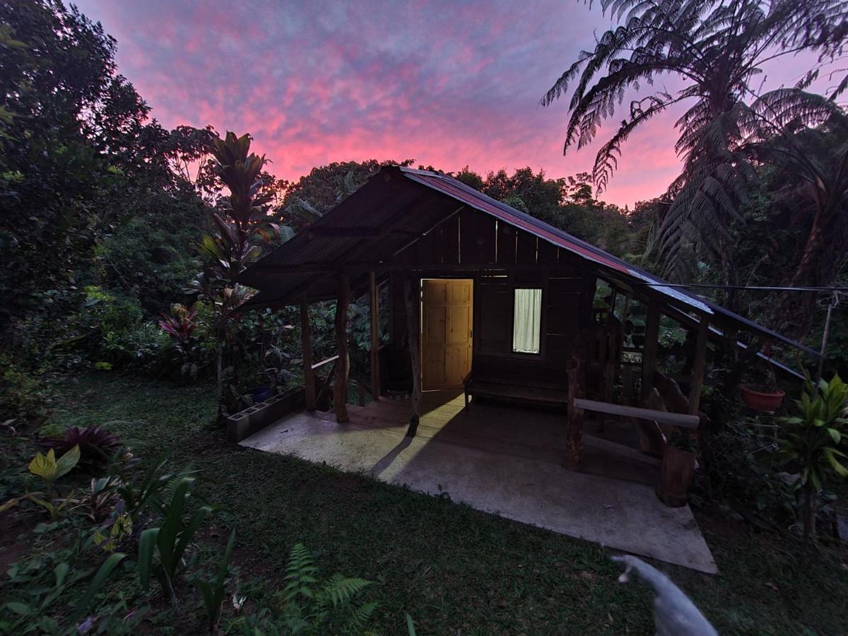 Cabana Maquique - San Vito Villa San Ramon  Exteriör bild
