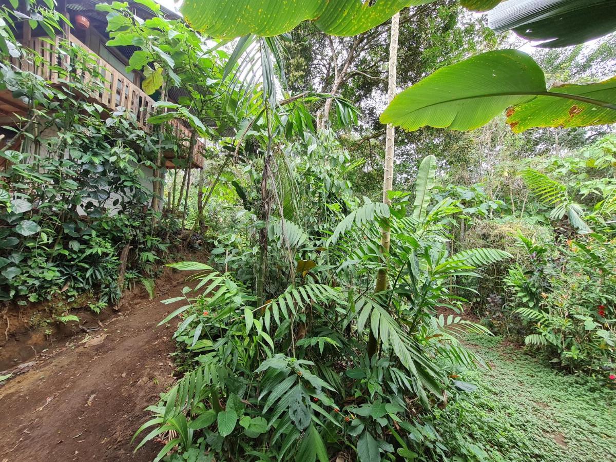 Cabana Maquique - San Vito Villa San Ramon  Exteriör bild